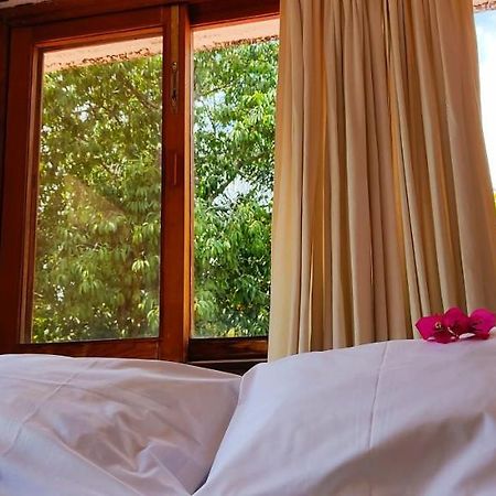 Ixlum Hoteles Y Casas Vacacionales 迪坡斯特兰 外观 照片