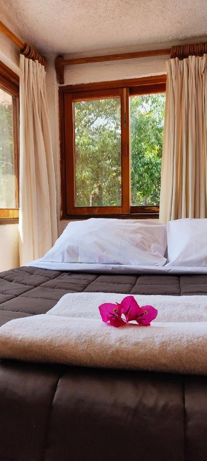 Ixlum Hoteles Y Casas Vacacionales 迪坡斯特兰 外观 照片